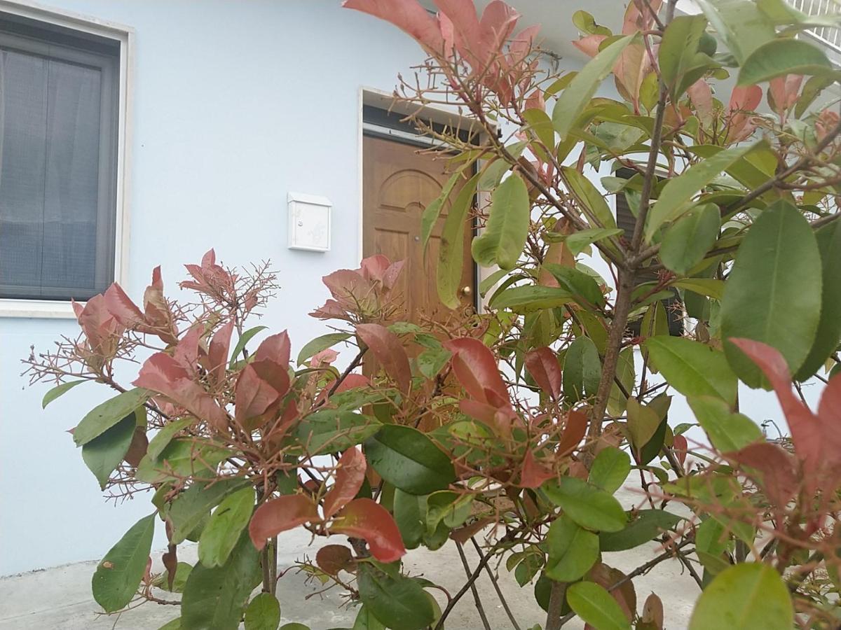 Rosa Dei Venti House Villa Campomarino  Dış mekan fotoğraf