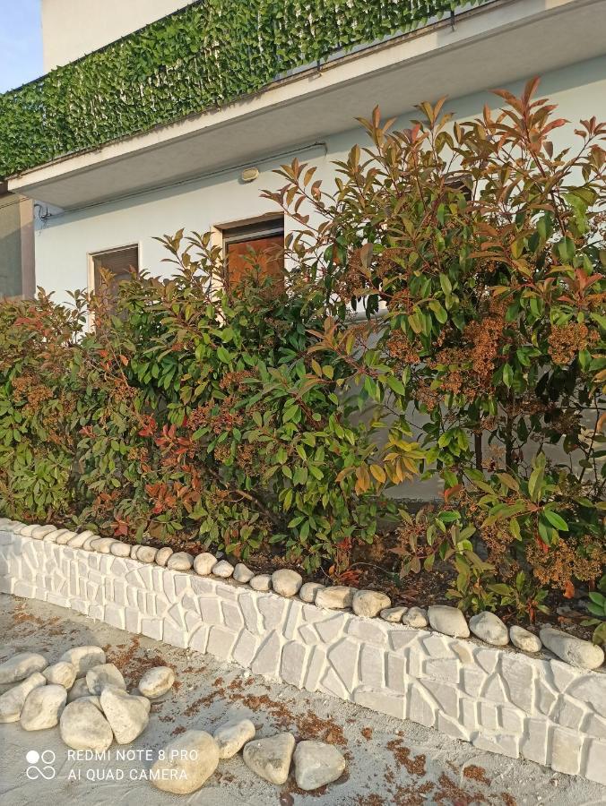 Rosa Dei Venti House Villa Campomarino  Dış mekan fotoğraf